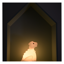 Load image into Gallery viewer, Næturljós