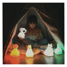 Load image into Gallery viewer, Næturljós