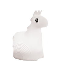 Load image into Gallery viewer, Næturljós